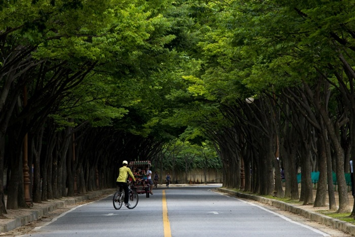 인천대공원_10