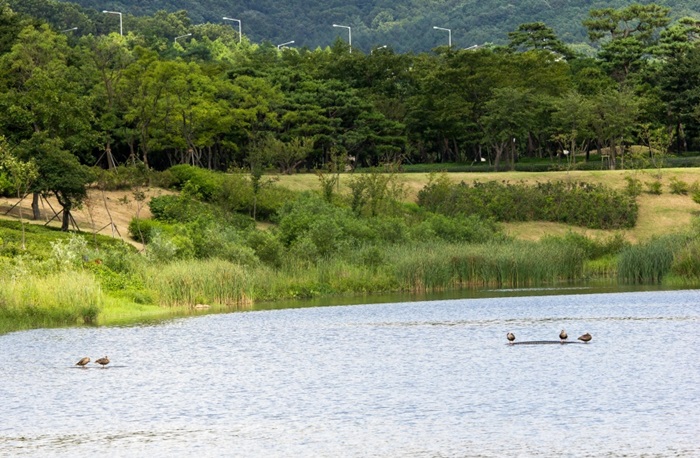 인천대공원_9