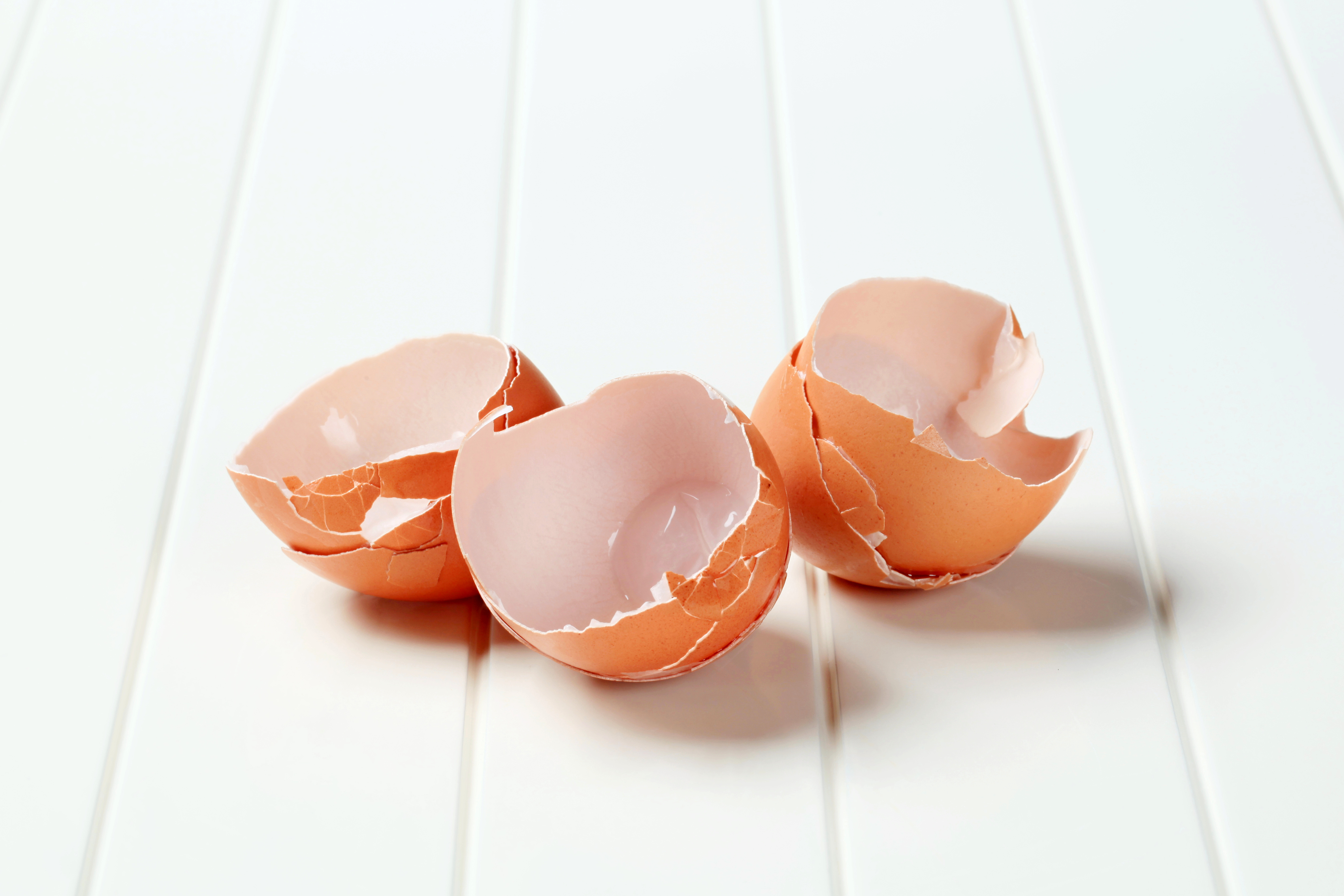 Empty brown egg shells - closeup