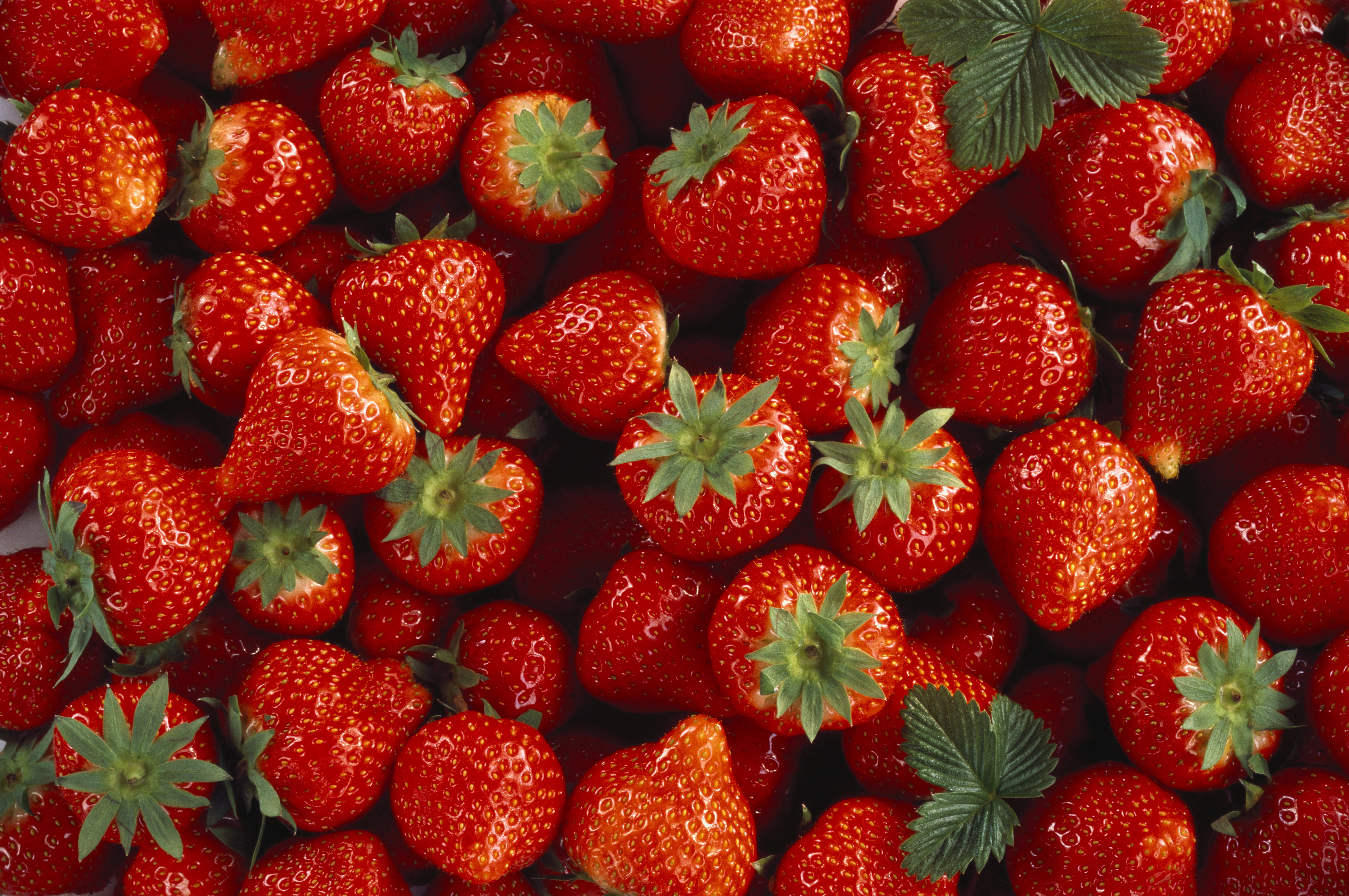 Pile of Whole Fresh Strawberries