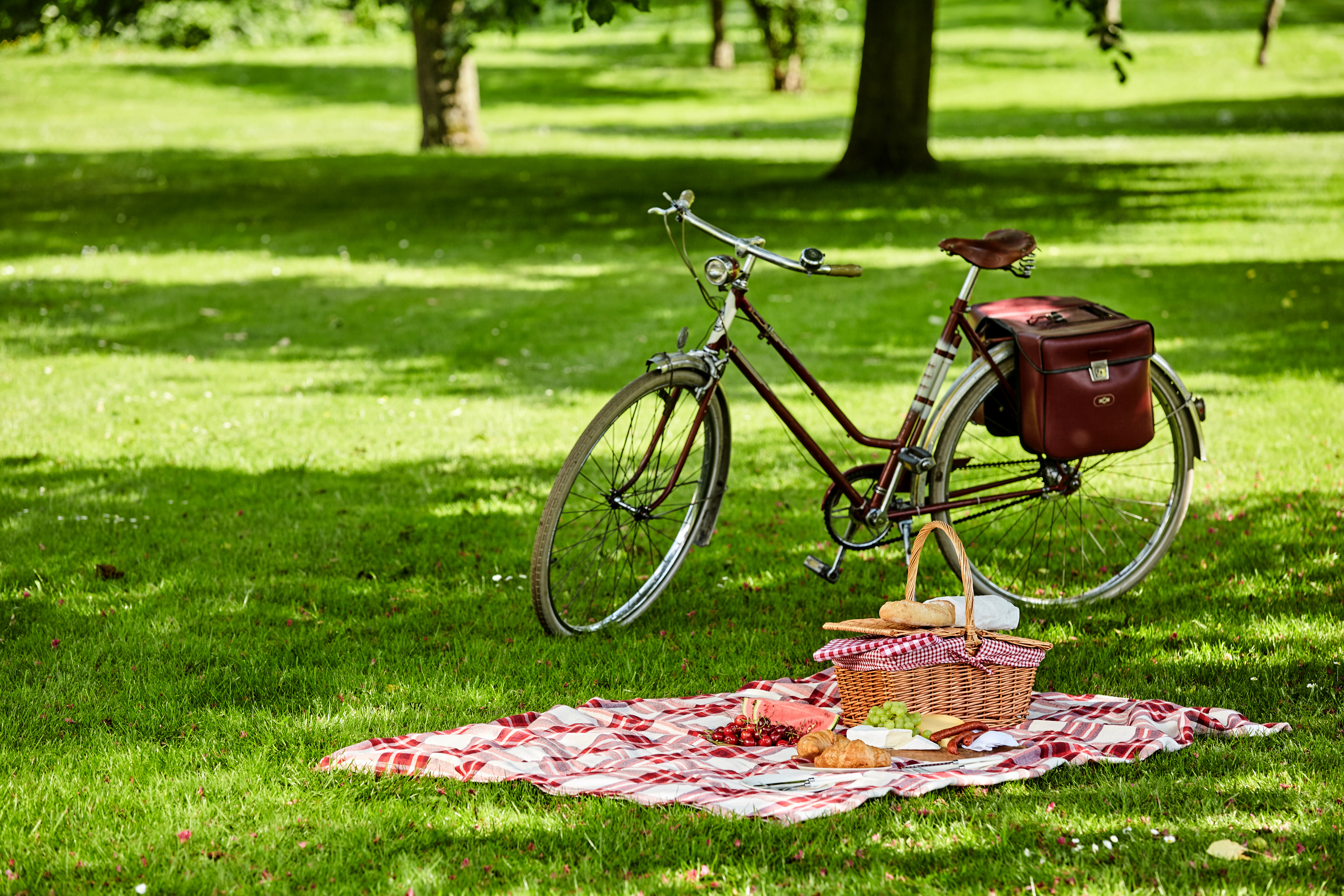 Bicycle with saddlebags and picnic hamper with fresh fruit, cheese, sausages and bread spread out on green grass in a lush green park