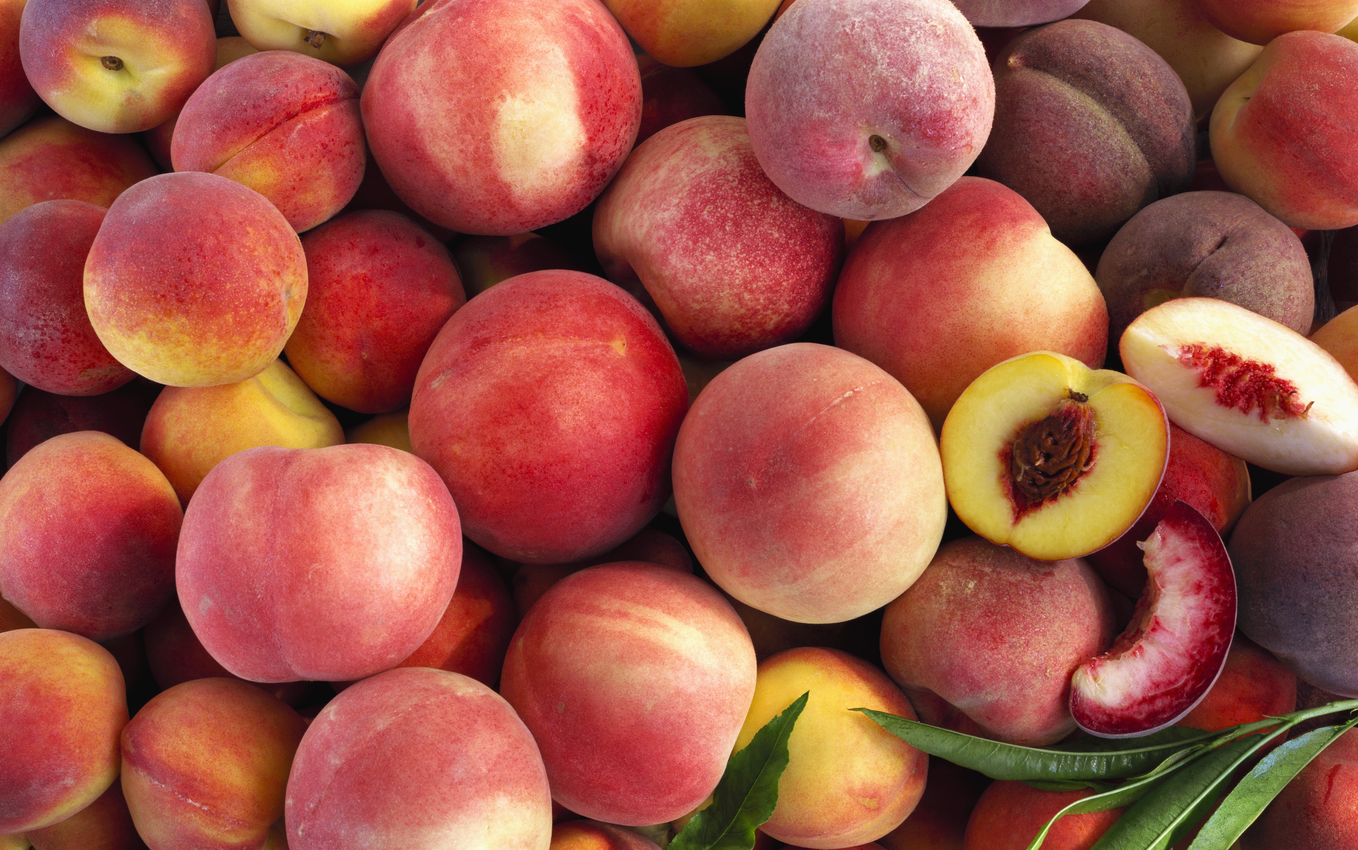 Various types of peach (filling the picture)