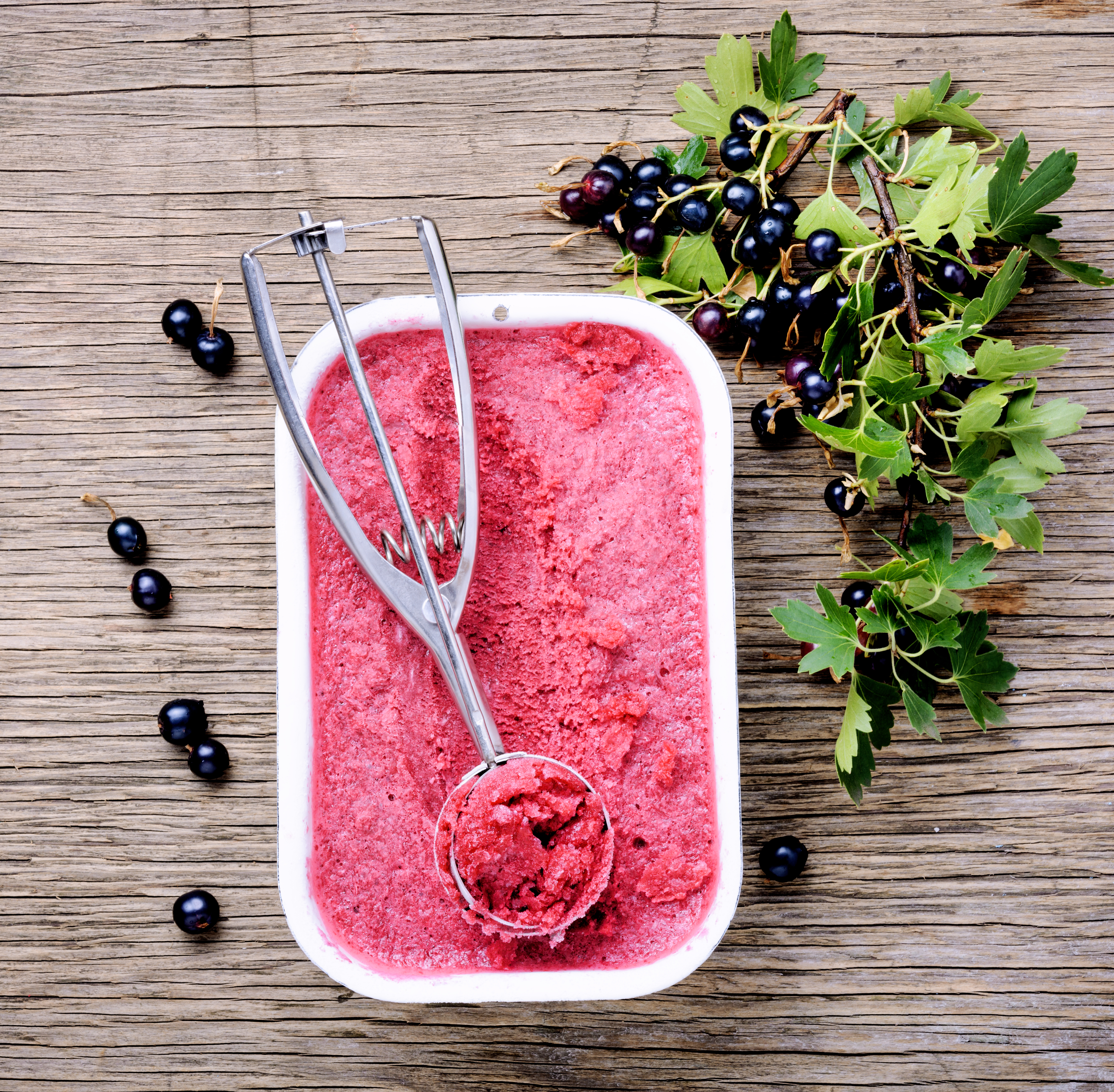 Summer ice cream from black currant berries.Frozen berries sorbet