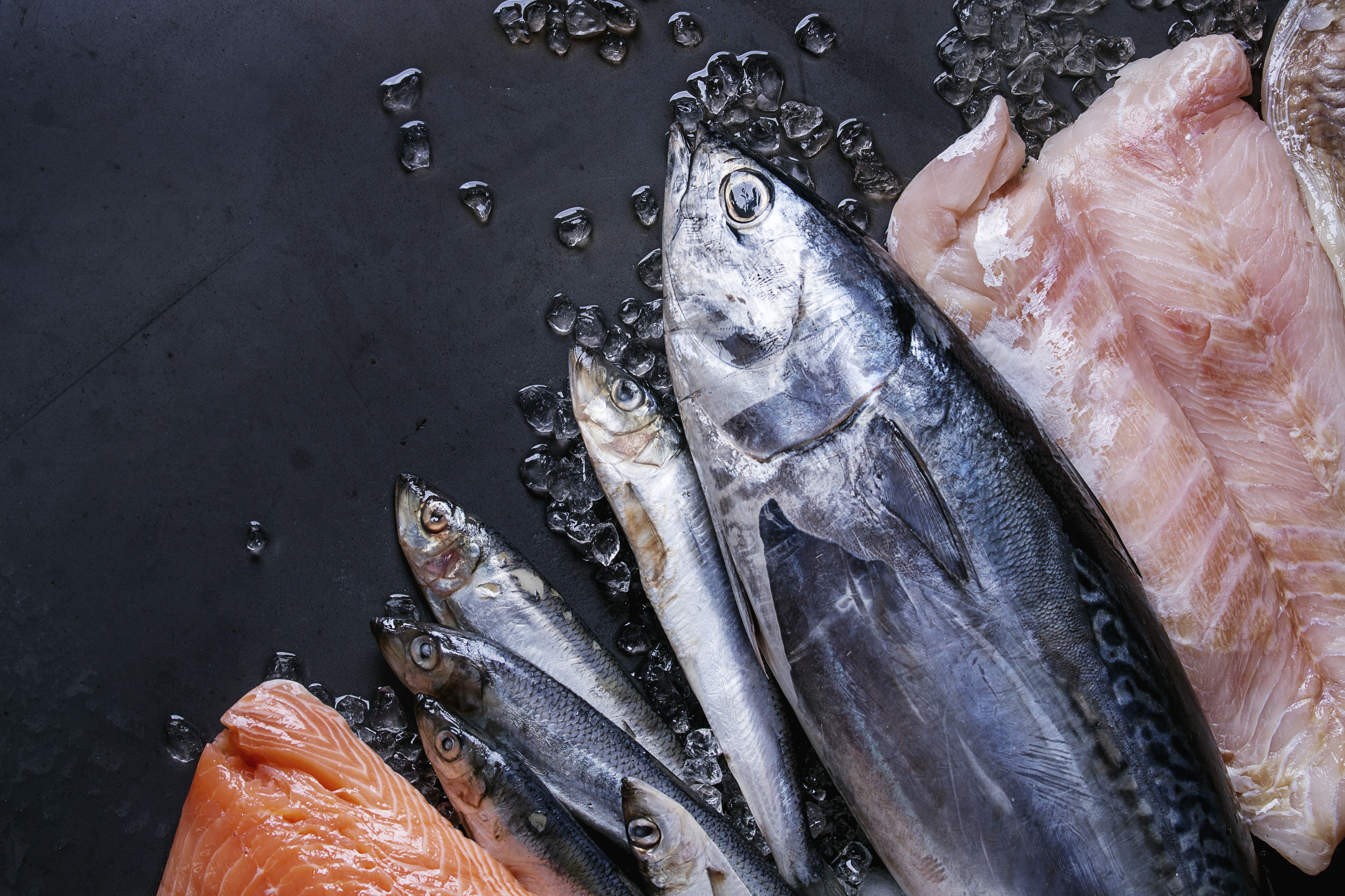 Variety of raw fresh fish. Whole tuna and herring, fillet of salmon, cod, red fish on crushed ice over dark wet metal background. Top view with space. Fish market concept