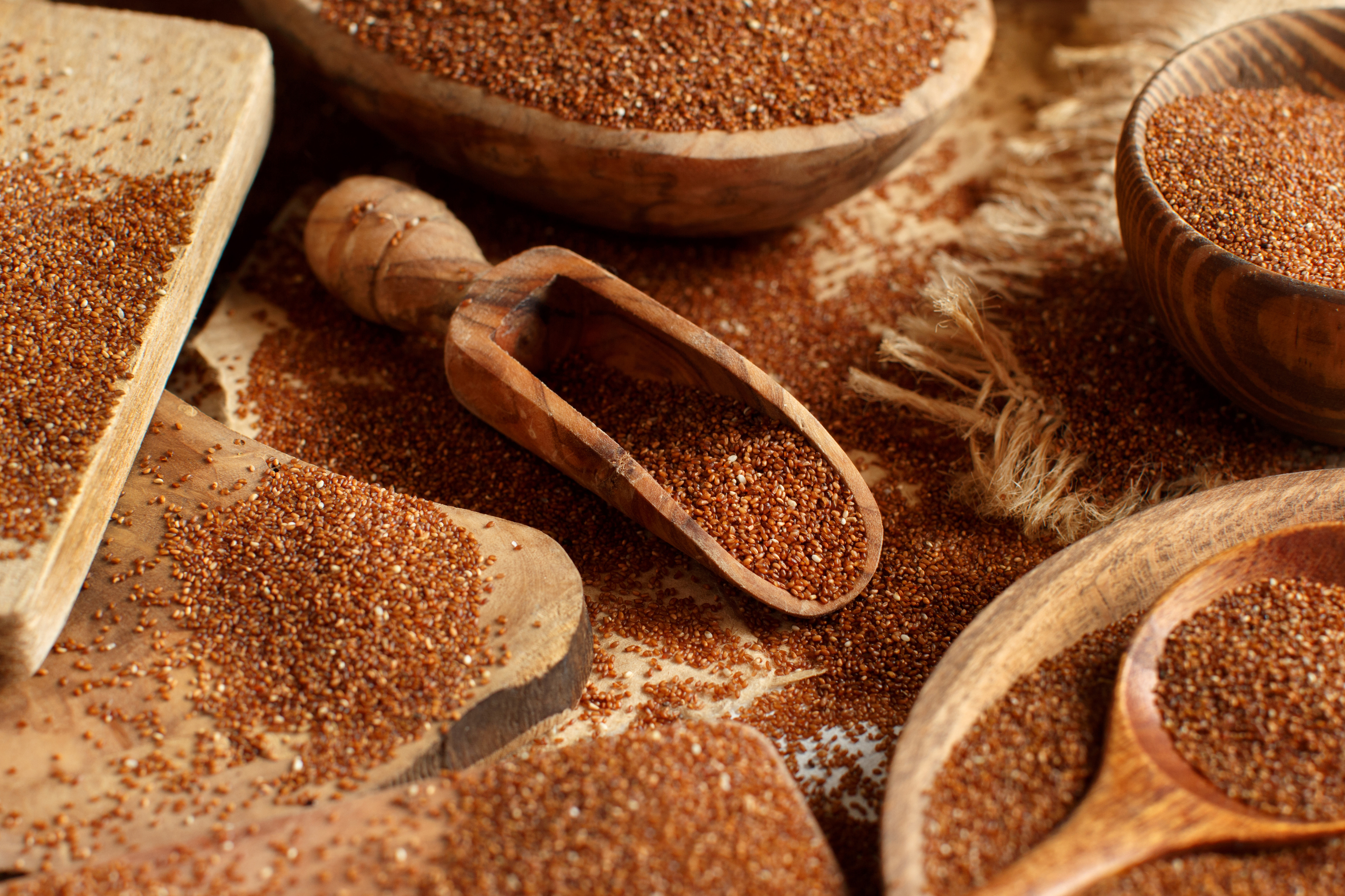 Uncooked teff grain in a bowl with a spoon