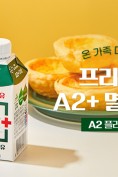 8월 서울우유 인포그래픽 특성화 이미지